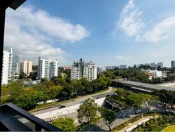 Leedon Green (D10), Condominium #587748001